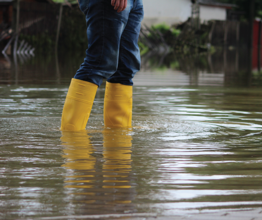 Person Standing in Flooded Area Person Standing in Flooded Area