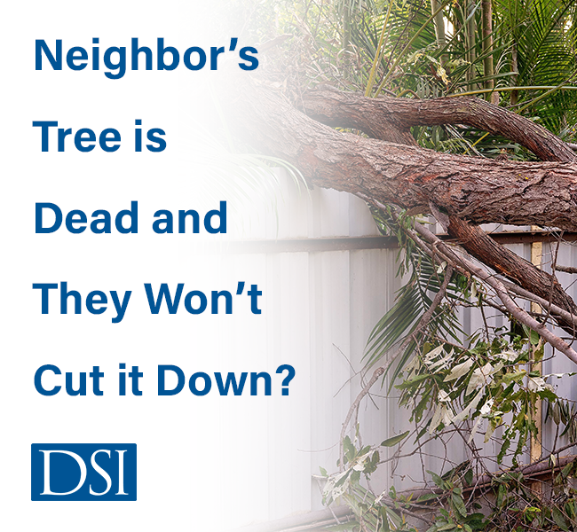 DSI-Dead-Tree-Blog