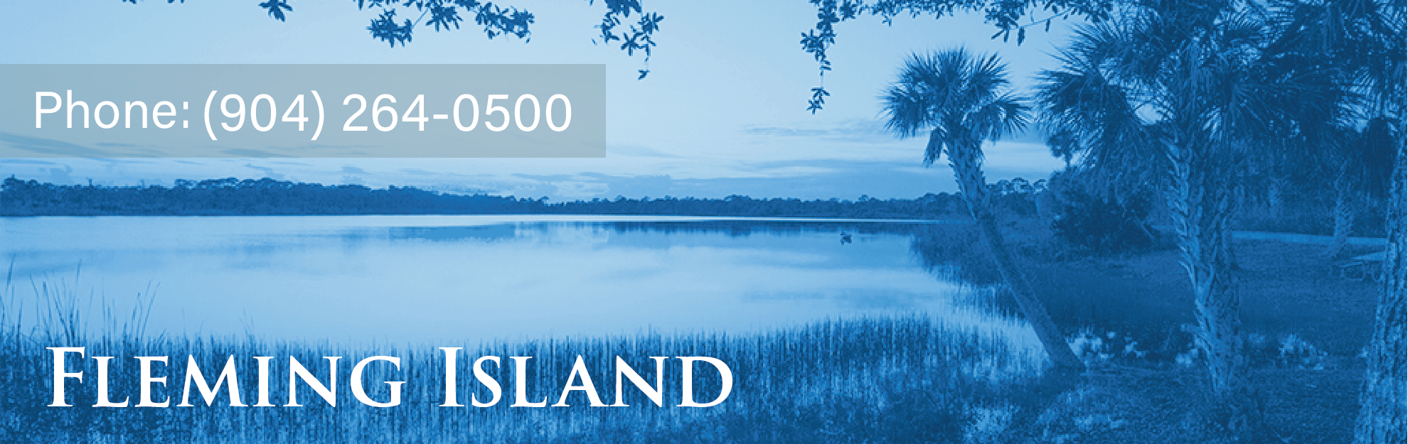 DSI_Fleming_Island_Header